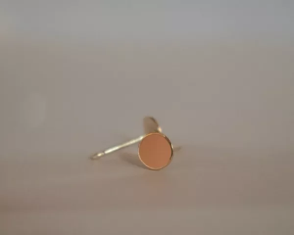 14k gold filled PurlyNude Jewelry Earrings