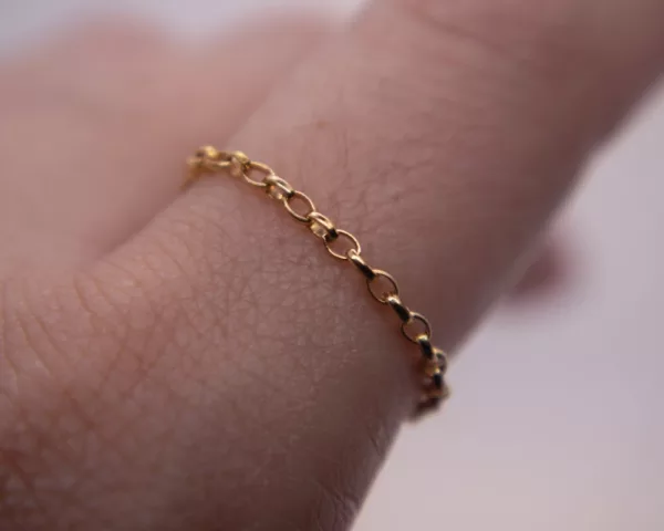 Rollo Chain Ring