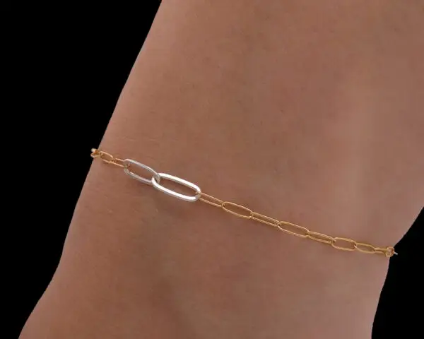 Double Silver Paperclip with Gold Paperclip Chain