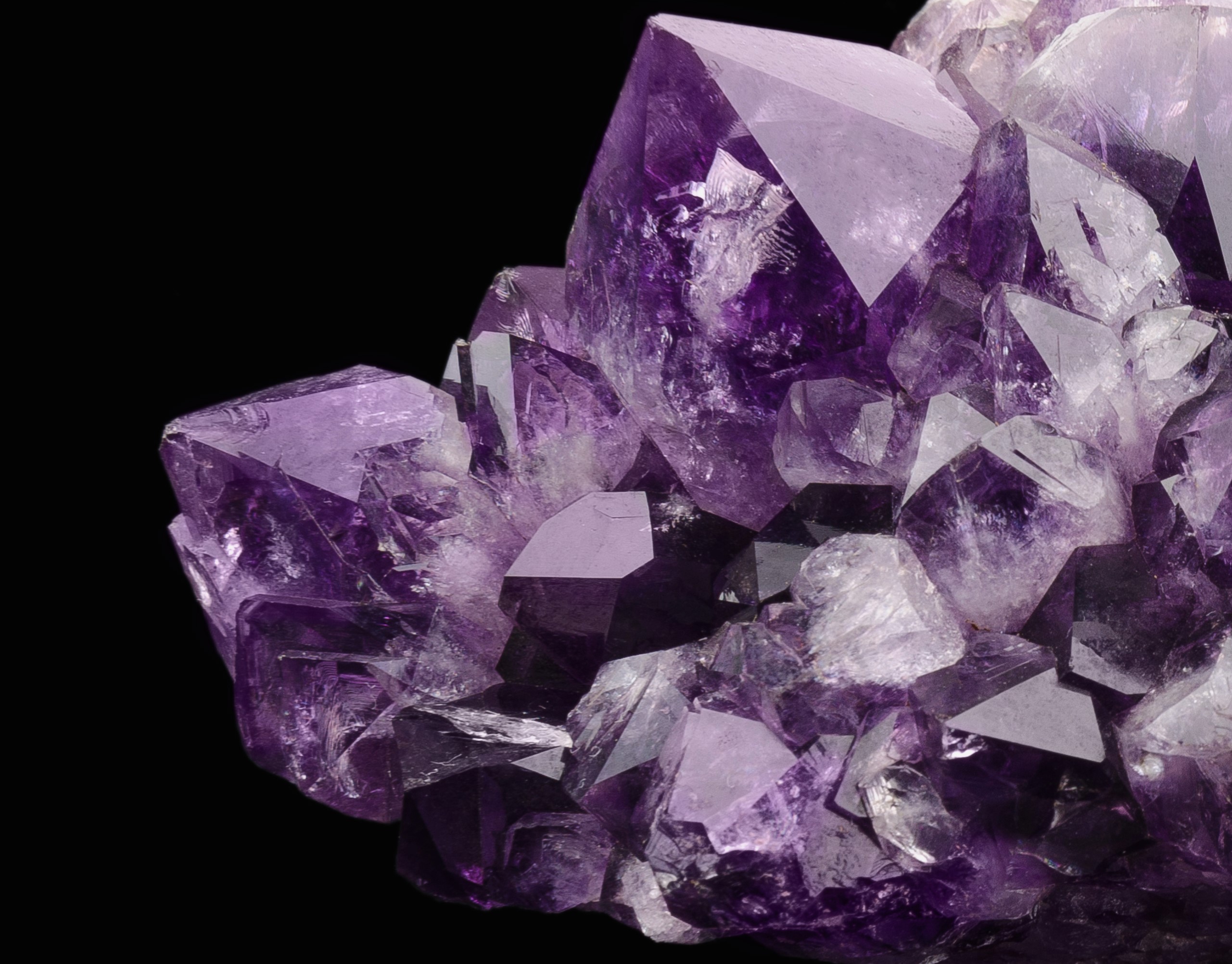 Amethyst and Pisces